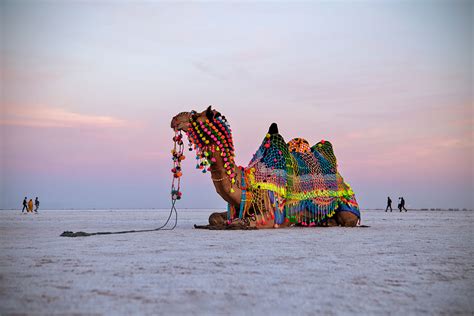 Great Rann of Kutch