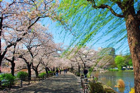 16 Top Tourist Attractions in Tokyo | PlanetWare