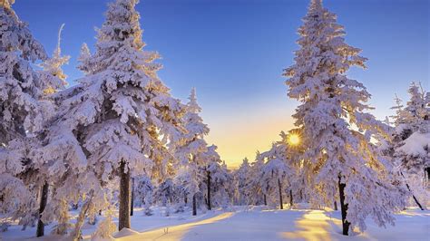 Winter Wonderland Wallpapers for Desktop - imageswall. | Free winter wallpaper, Winter wallpaper ...