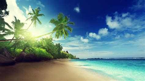 🔥 [50+] Live Animated Beach Wallpapers | WallpaperSafari