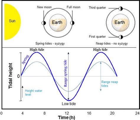 Tides And Moon Phases Chart