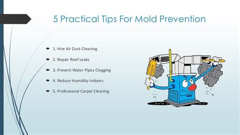 5 practical tips for mold prevention