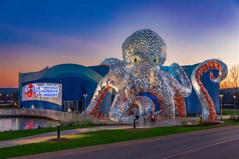 $55m Aquarium at the Boardwalk opens in Branson | blooloop