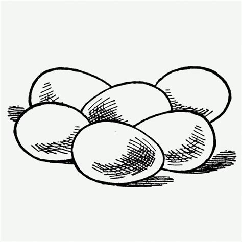 Scrambled Eggs Drawing | Free download on ClipArtMag