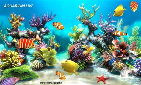 🔥 [40+] Aquarium Live Wallpapers for PC | WallpaperSafari