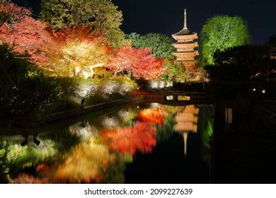 Toji Temple By Night Toji Buddhist Stock Photo 527466007 | Shutterstock