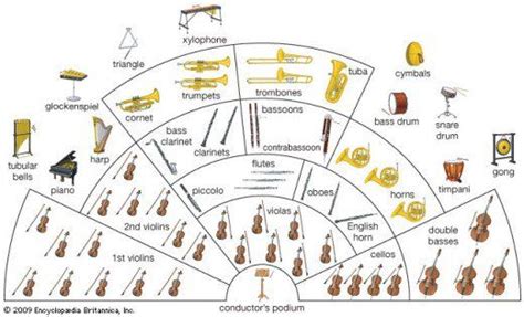 A Beginner’s Guide to Instruments of the Orchestra | Instruments of the orchestra, Orchestra ...