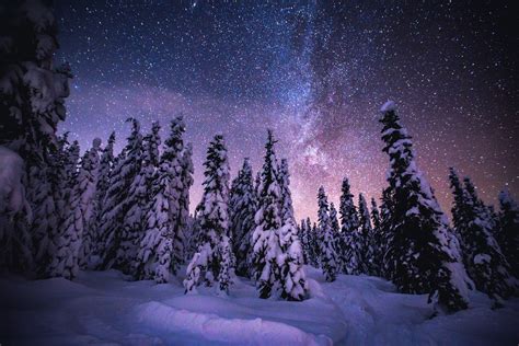 Snowy trees at night Whistler Canada [1800x1200] [OC] | Snowy trees, Night skies, Tree photography