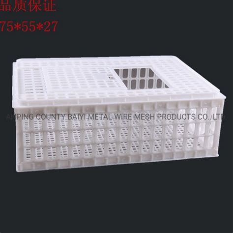 Plastic Live Chicken Transport Crates in Poultry for Sale - China Poultry Transport Crate and ...