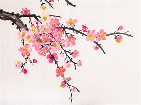 Chinese painting of flowers, plum blossom - Custom Wallpaper