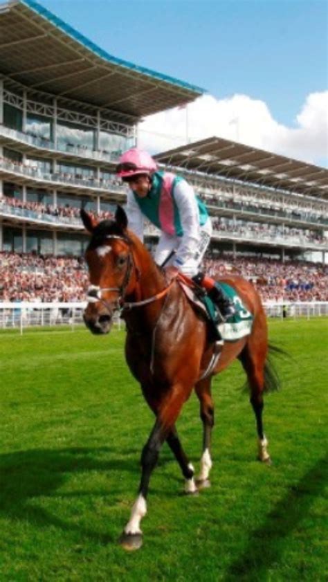 Frankel | Horses, Horse racing, Racing