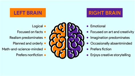 Left Vs Right Brain : Left Vs Right Brain What Side Do You Use? | The WHOot - Now the shoe photo ...