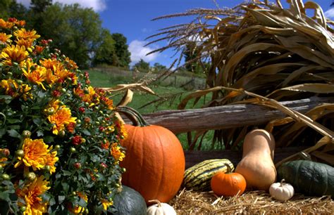 October Harvest Festival | Forsythe Family Farms