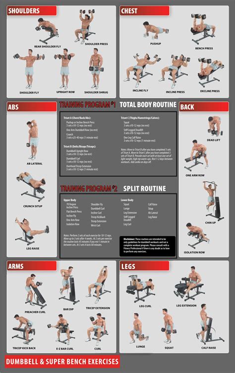 Workout Routines Chart