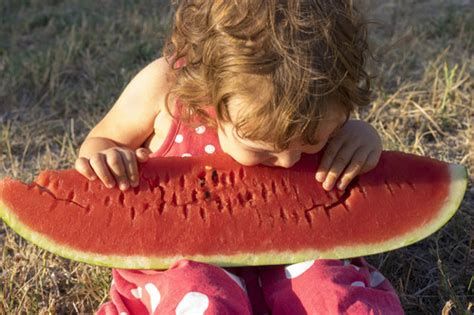 Florida Giant Watermelon | Vegetable Seeds