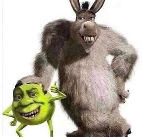 Weird pictures to send at 3 am | Shrek memes, Stupid funny memes, Funny memes