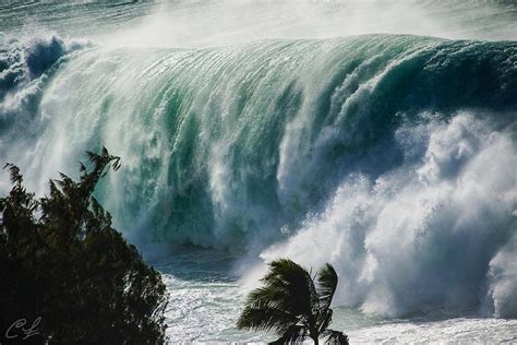 Monster waves in Hawaii! : surfing