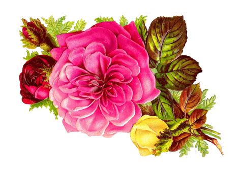 Antique Images: Rose Bouquet Clip Art of Pink, Red, and Yellow Flowers