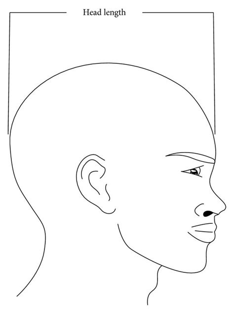 Diagram showing the measurement of head length. | Download Scientific Diagram