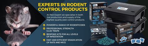 Rat Control Products | Rat Poison, Bait and Traps | Pest Expert