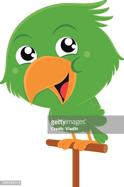 Parrot Green Color Photos and Premium High Res Pictures - Getty Images