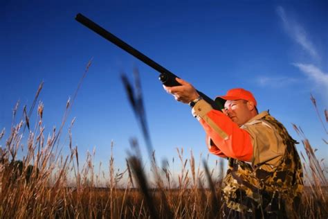 NYS DEC Offering Hunting Safety Course Online for a Limited Time