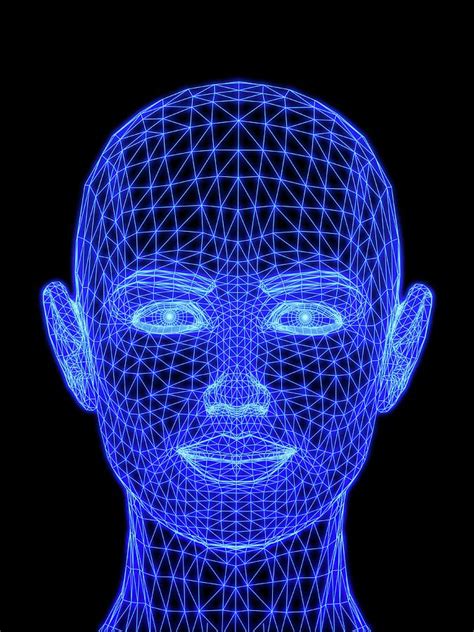 Wireframe Head Photograph by Alfred Pasieka/science Photo Library ...