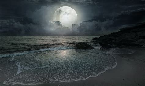 Light or Dark of The Moon: What Does It Mean? - Farmers' Almanac - Plan Your Day. Grow Your Life.