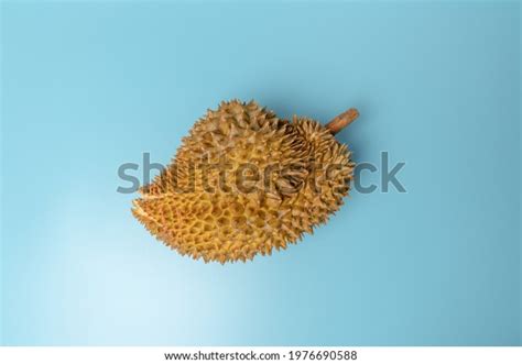 942 Durian Crepe Images, Stock Photos, 3D objects, & Vectors | Shutterstock