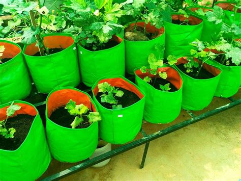 Buy Gardening Vegetable Green Grow Bag online in Kerala