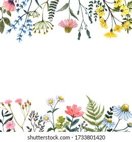 91,279 Wildflower Border Images, Stock Photos, 3D objects, & Vectors | Shutterstock