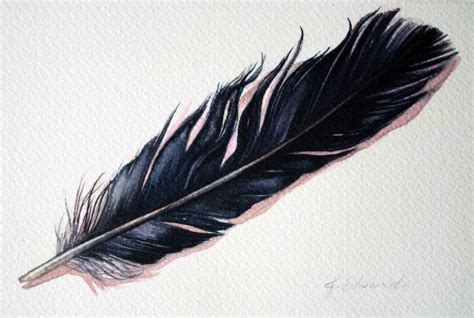 Raven Feather Drawing at GetDrawings | Free download