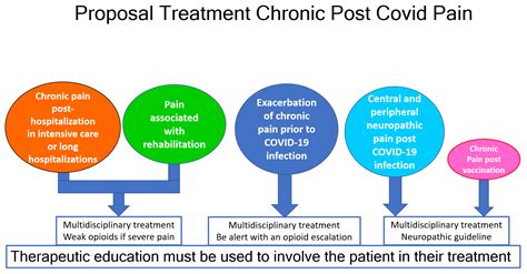 Biomedicines | Free Full-Text | Pharmacological Proposal Approach to Managing Chronic Pain ...