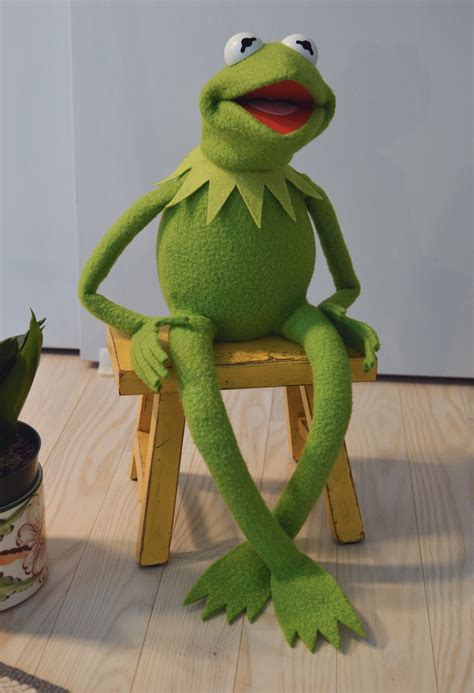 Kermit The Frog Standing