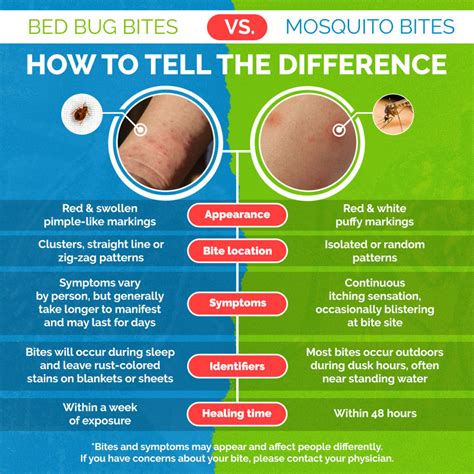 How to Tell Bed Bug Bites from Mosquito Bites - The Ultimate Guide to ...