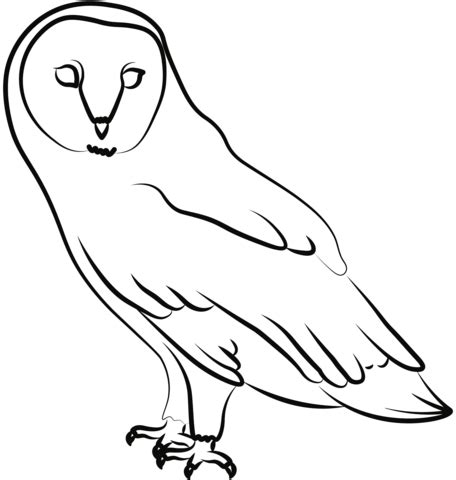 Snowy Owl coloring page | Free Printable Coloring Pages