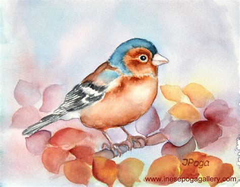 watercolor painting of birds step by step | Viewing Gallery For - Easy Paintings Of Birds ...