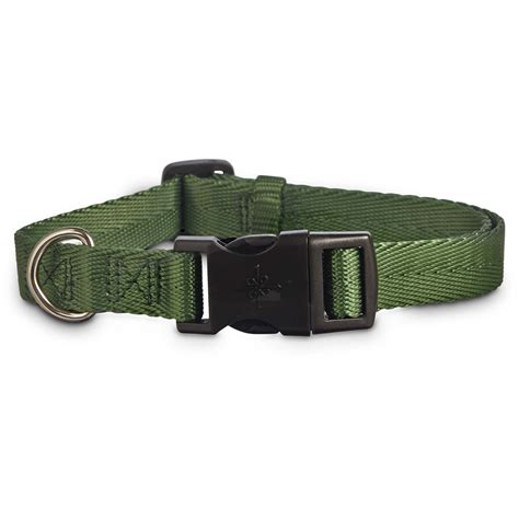 Good2Go Adjustable Dark Green Dog Collar, Large/X-Large | Petco | Dog training, Green dog collar ...