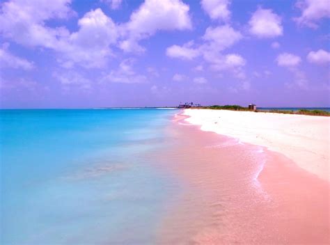 Barbuda Pink Sand Beach | Ode to Antigua..my paradise | Pinterest