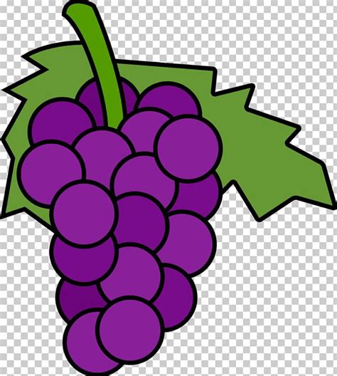 Common Grape Vine Wine Free Content PNG, Clipart, Artwork, Cartoon, Cartoon Grapes Cliparts ...