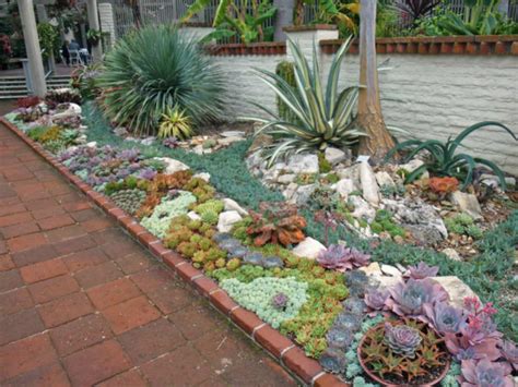 How to Plant an Outdoor Succulent Garden - World of Succulents