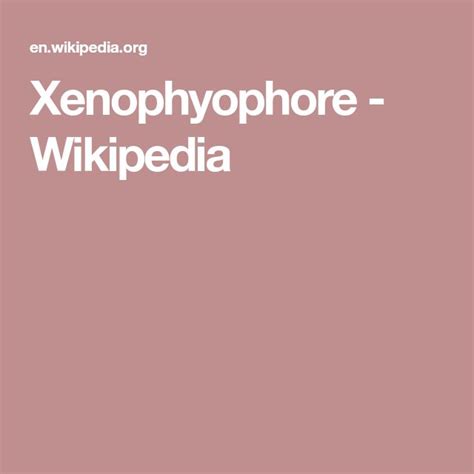 Xenophyophores Size