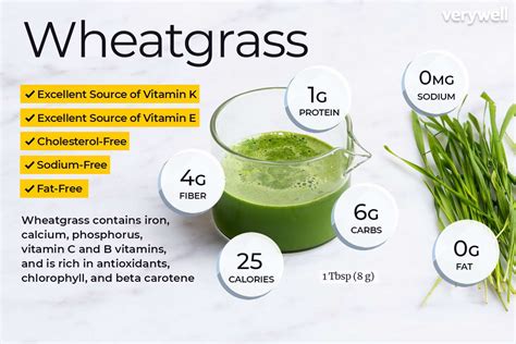 Wheatgrass Nutrition Facts and Health Benefits