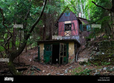 Abandoned House In Forest