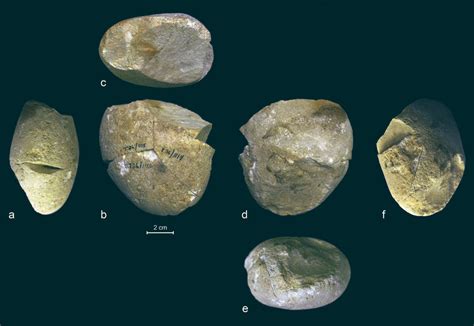 357,000-Year-Old Abrading Tool Unearthed in Israel | Archaeology | Sci-News.com