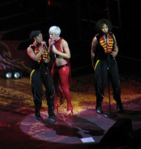 P!nk - Funhouse Tour Live - Pink Photo (12119357) - Fanpop