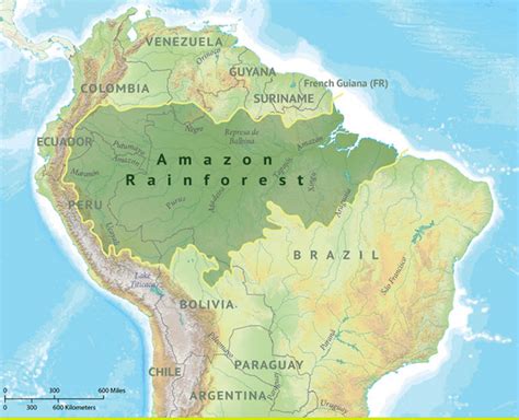 Amazon Rainforest Map Pictures - Ebba Neille