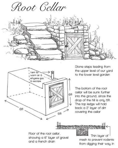 15 Free Root Cellar Plans DIY