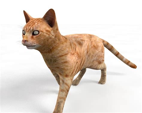 3D model realtime Ginger Cat Rigged | CGTrader