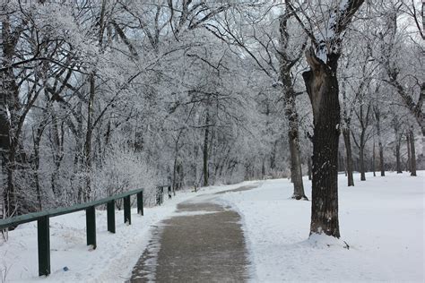 IAWP Region 12 -Western & Northern Canada: Winnipeg Winter Wonderland